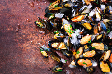 Mussels, molluscs, seaweed, sea plants, ice on old vintage rustic metal background. Top view, copy space