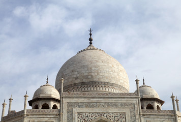 Fototapeta na wymiar Domes of Taj Mahal