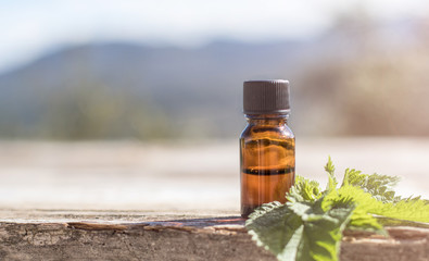 Stinging Nettle Essential oil (Urtica Dioica) Spa Phytotherapy Aromatherapy Healing Herbs Homeopathy Alternative Medicine Concept Medical Herb Health Beauty Rustic Vintage Wooden Background