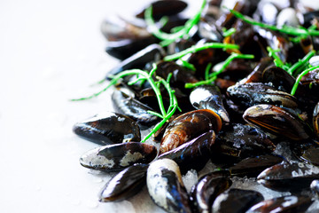 Boiled mussels with seaweed, sea plants on white stone concrete background. Top view, copy space.