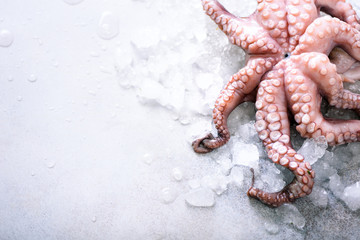 Fresh raw octopus on ice, grey concrete background. Top view, copy space