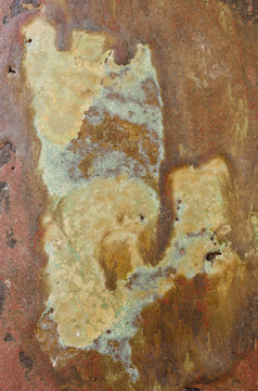close macro macrophotograph paint patterns ceramic planter