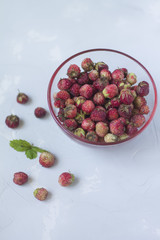 forest strawberries in a glass vase on the table summer freshness purity