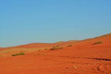 Morocco, Marrakech, desert, dune, sand, dry