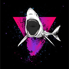 shark in a triangle. abstract drawing. vector illustration.