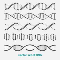 vector set of elements DNA. - obrazy, fototapety, plakaty