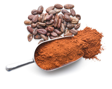 Tasty cocoa powder and beans.