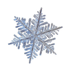 Snowflake isolated on white background. Macro photo of real snow crystal: large dendrite  with six long, elegant arms, lots of side branches and complex, ornate shape.