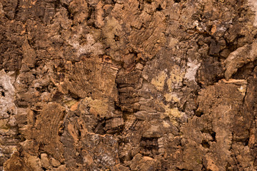 dark cork texture backgrounddark cork texture background