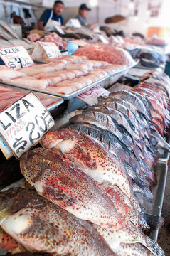Fish market in Ensenada, Mexico
