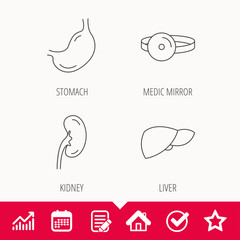 Kidney, liver and stomach organ icons.
