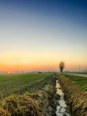 Fototapeta premium Dramatic colorful countryside sunrise with trees and silhouettes