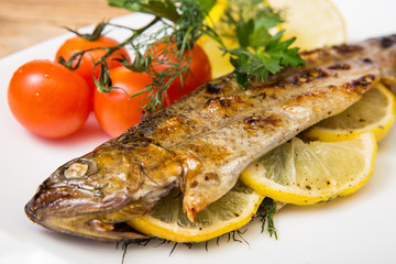 fish on isolated white background
