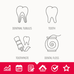 Tooth, dentinal tubules and dental floss icons.