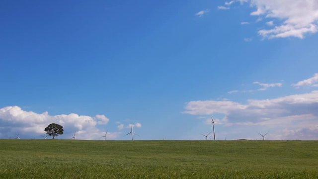 草原の風車と一本の木
