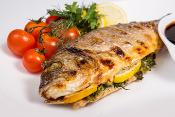 fish on isolated white background