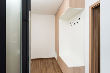 Entrance hall in contemporary house interior