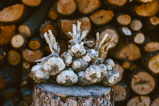 Bunch of garlic in front a stack of trunks.