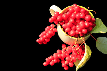 ripe schizandra in the cup on the black