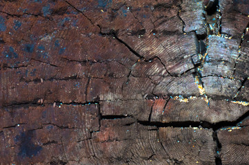 wood texture with cracks .