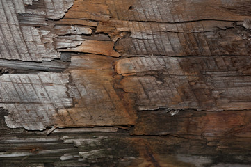 Black wood texture or wooden background with grey wood