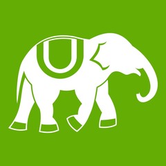Elephant icon green