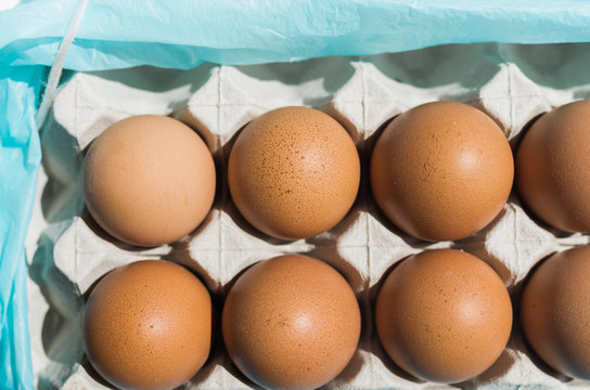 Fresh eggs in egg carton