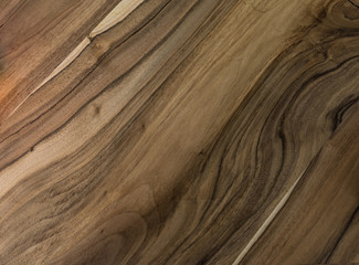 Fragment of wood. High detailed of the image