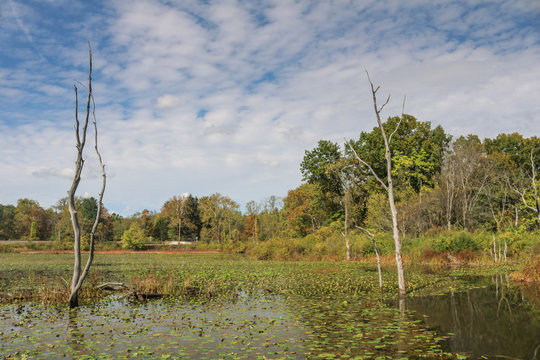 Beaver Marsh, Cuyahoga Valley National Park, Ohio