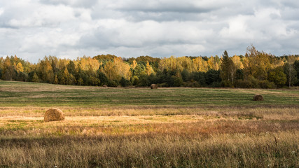 autumn fields and forests of Belarus during sunset