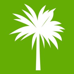 Fototapeta na wymiar Palm icon green