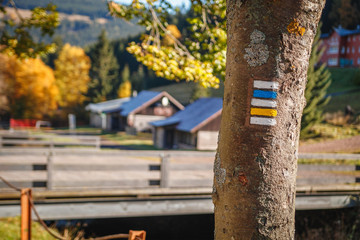 Tourist sign on the tree in Krokonose - Czech Republic