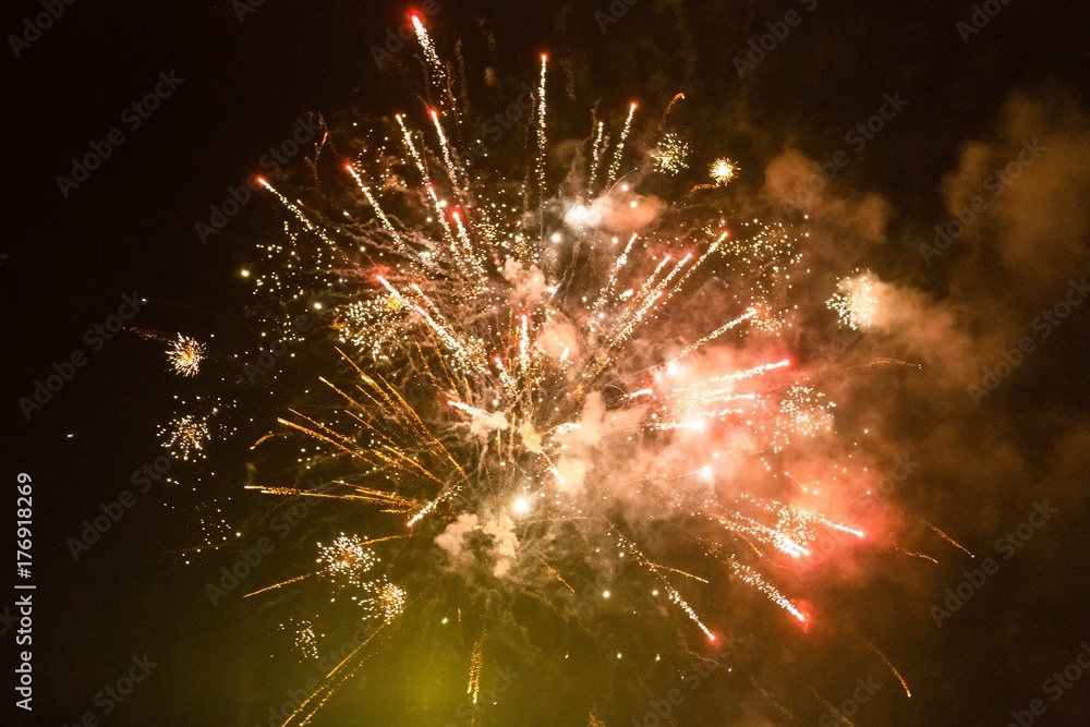 Wall mural Firework in the night sky.