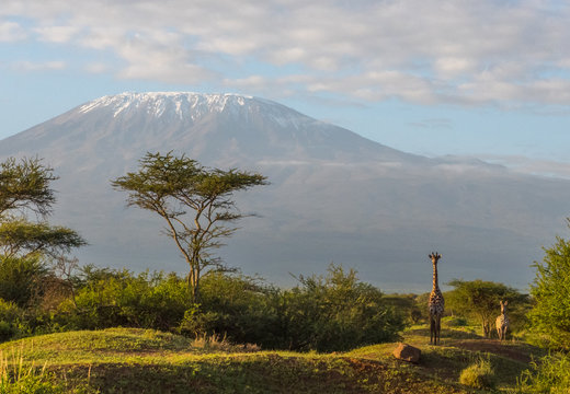 Mount kilamanjaro