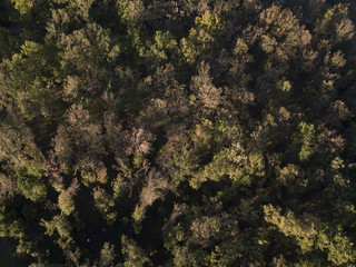 Fototapeta na wymiar Aerial view of the Italian wild forest at sunset. Autumn season.