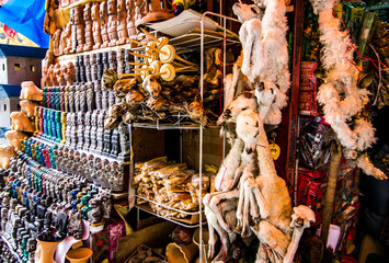 dead llamas fetuses at the witch market - obrazy, fototapety, plakaty