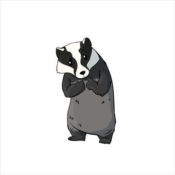 Colorful vector illustration of a shy cartoon badger