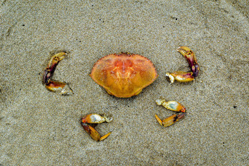 Crab Reconstructed
