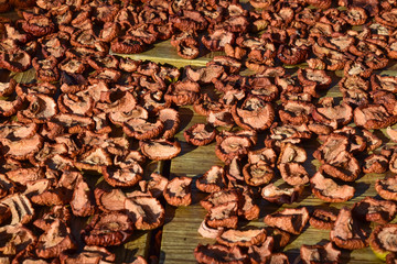 Dried fruits are dried on a wooden board. Dried apples, cut into