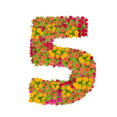 number 5 made from Zinnias flowers isolated on white background.Colorful zinnia flower put together in number two shape with clipping path