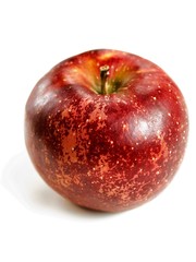 リンゴ、秋映え