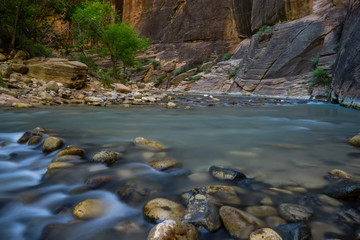 The Zion Narrows