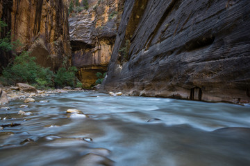 The Zion Narrows