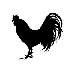 icon of rooster, vector illustration
