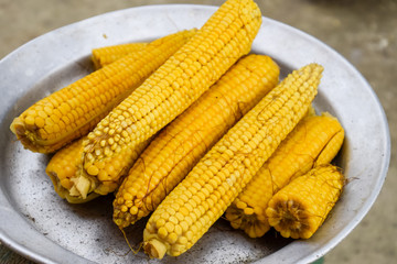 Boiled corn on an aluminum tray. Yellow boiled young corn, usefu