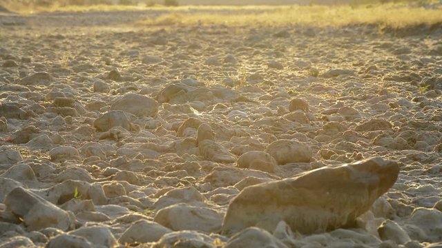 Drought in a river at sunset