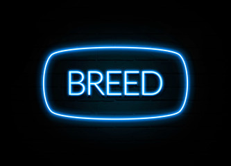 Breed  - colorful Neon Sign on brickwall