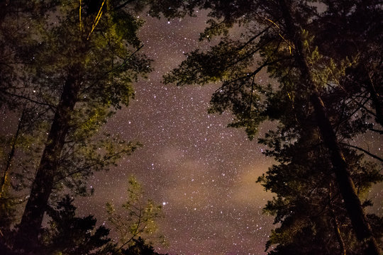 Night Sky in Autumn