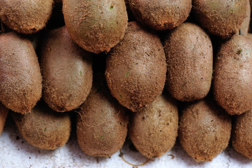 kiwi fruits