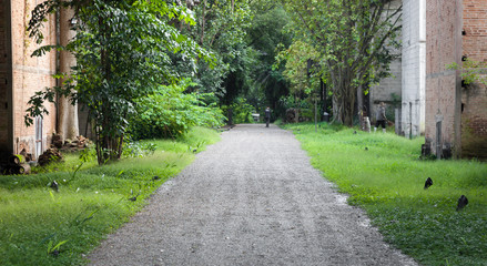 Lawn flower garden.walkway